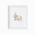 Cotton Tail Rabbit