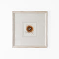 Bird Nest No. 8