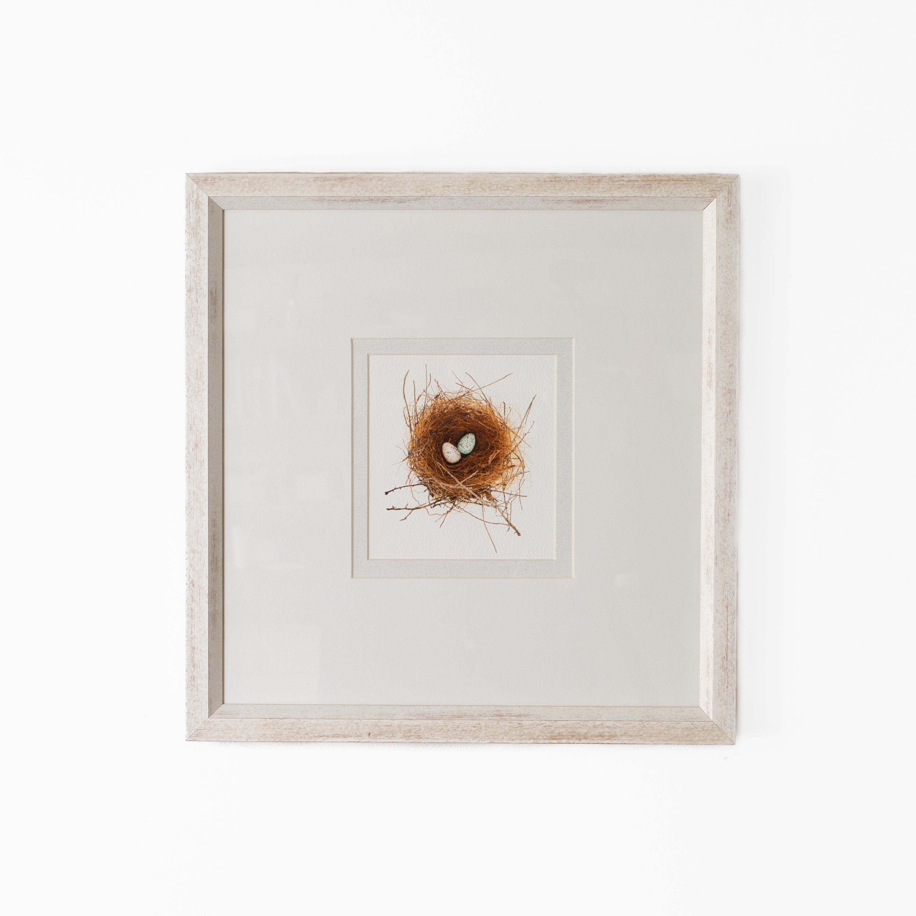 Bird Nest No. 8