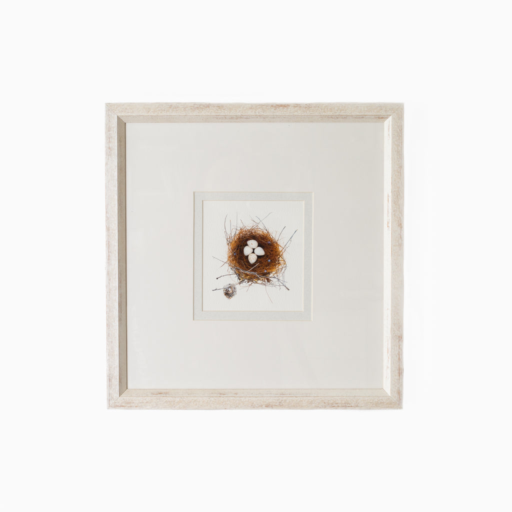 Bird Nest No. 11
