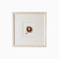 Bird Nest No. 11