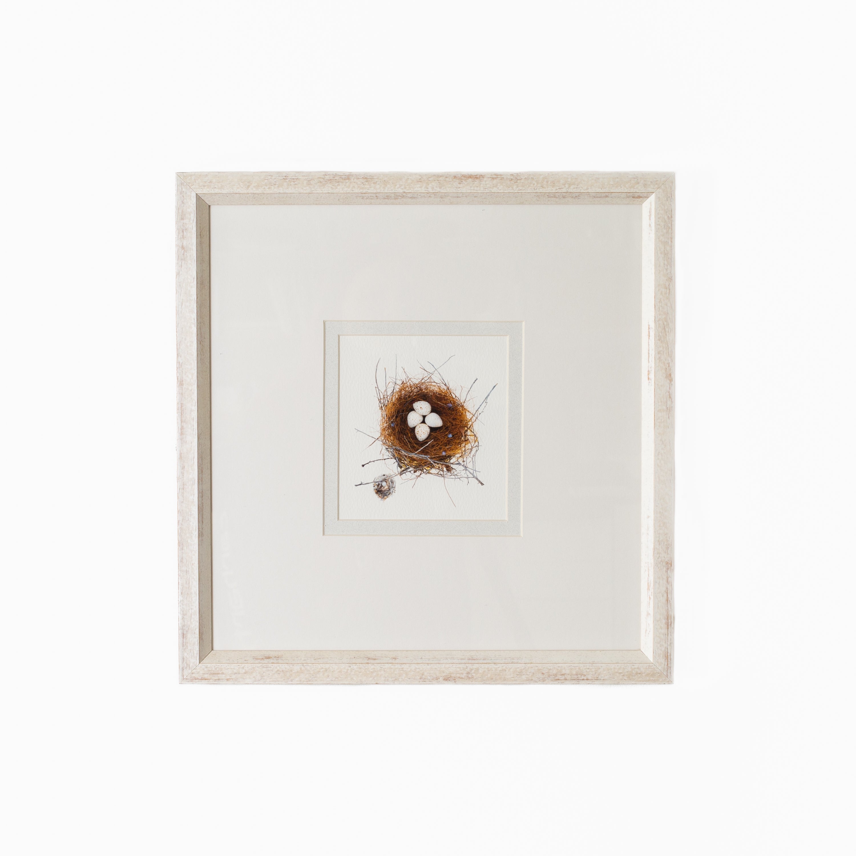 Bird Nest No. 11