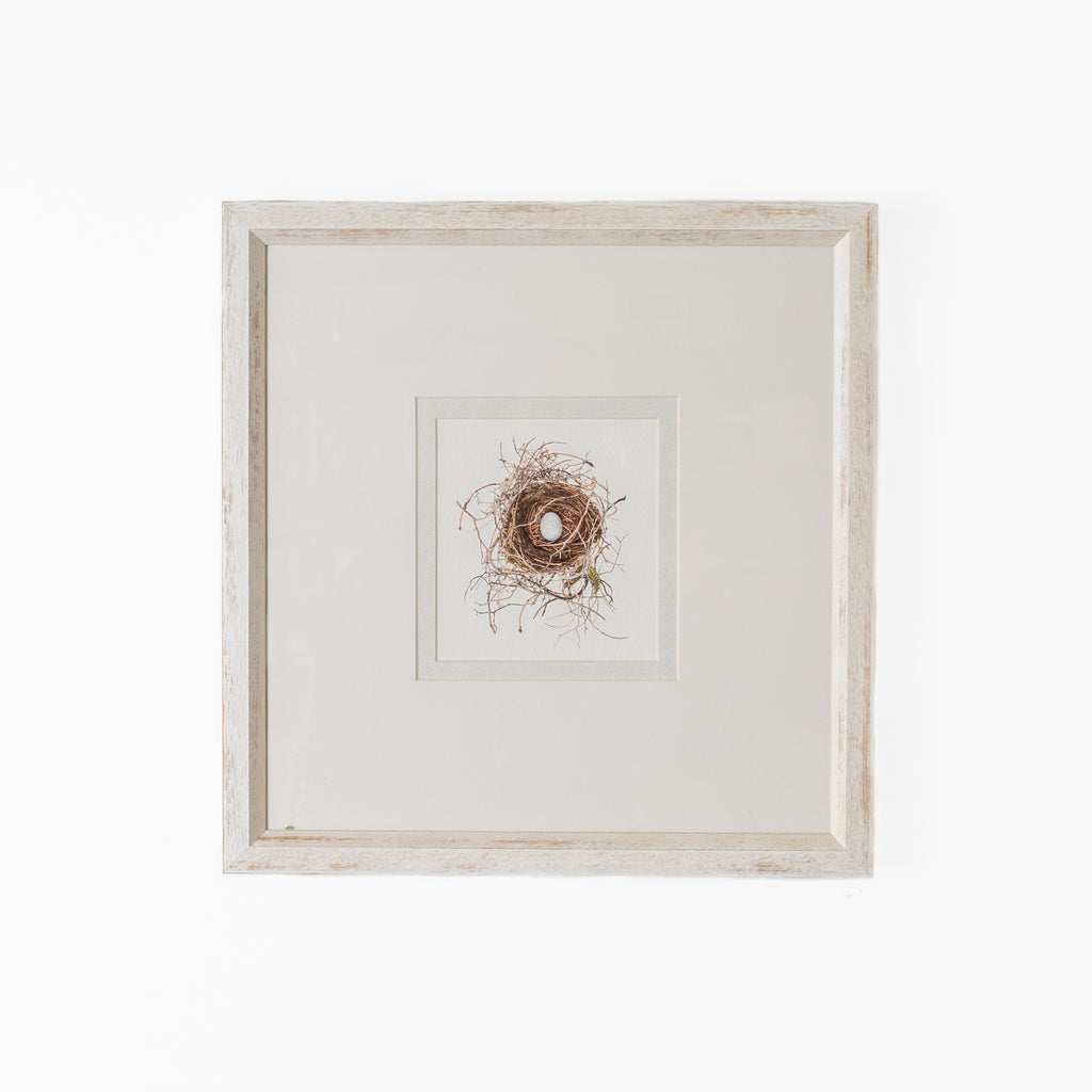 Bird Nest No. 4