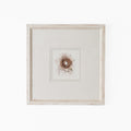 Bird Nest No. 4