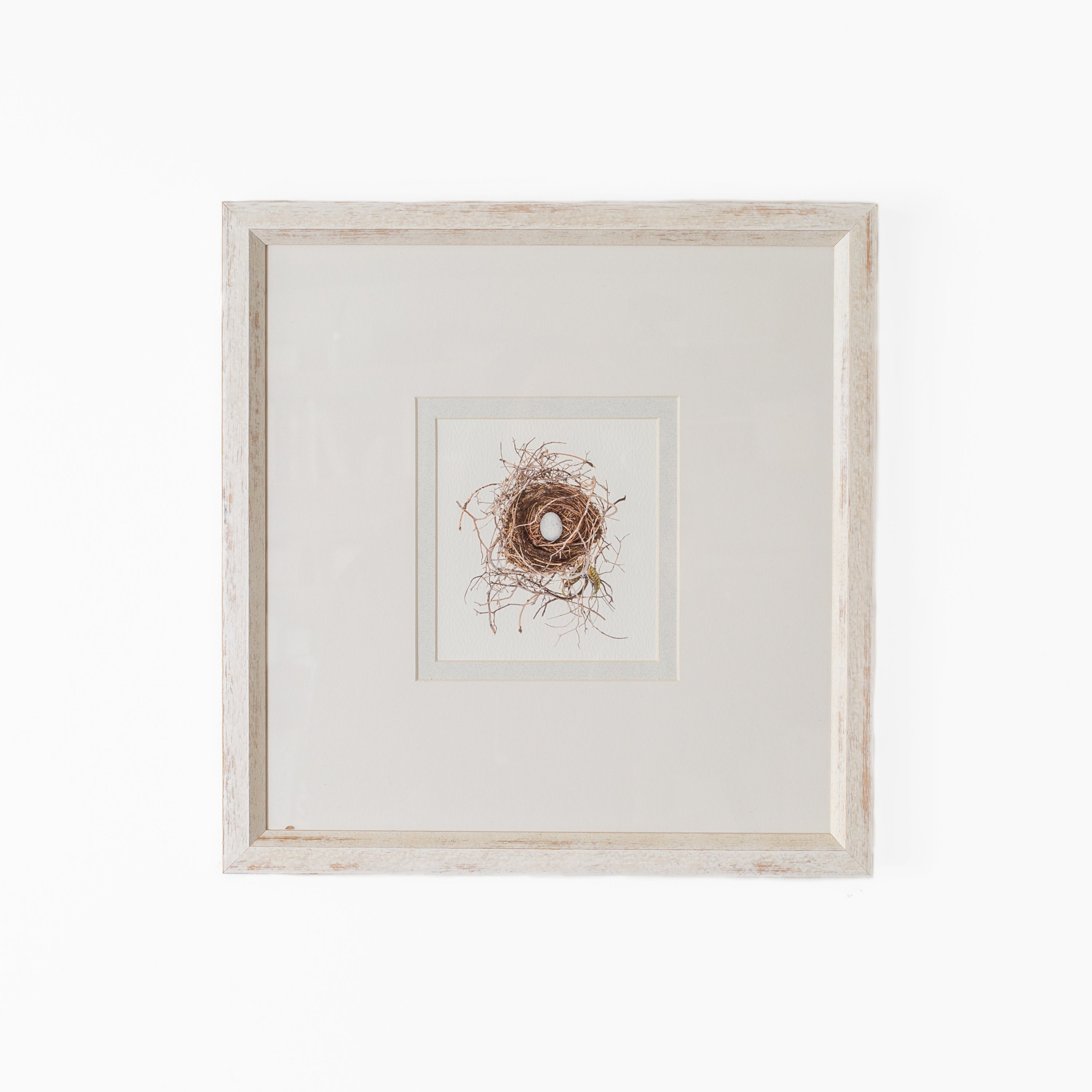 Bird Nest No. 4