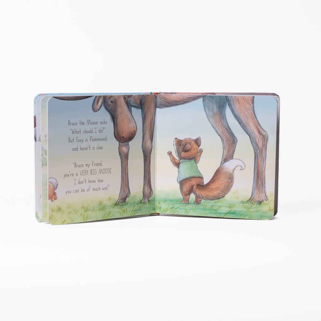 Camp Cricket Board Book