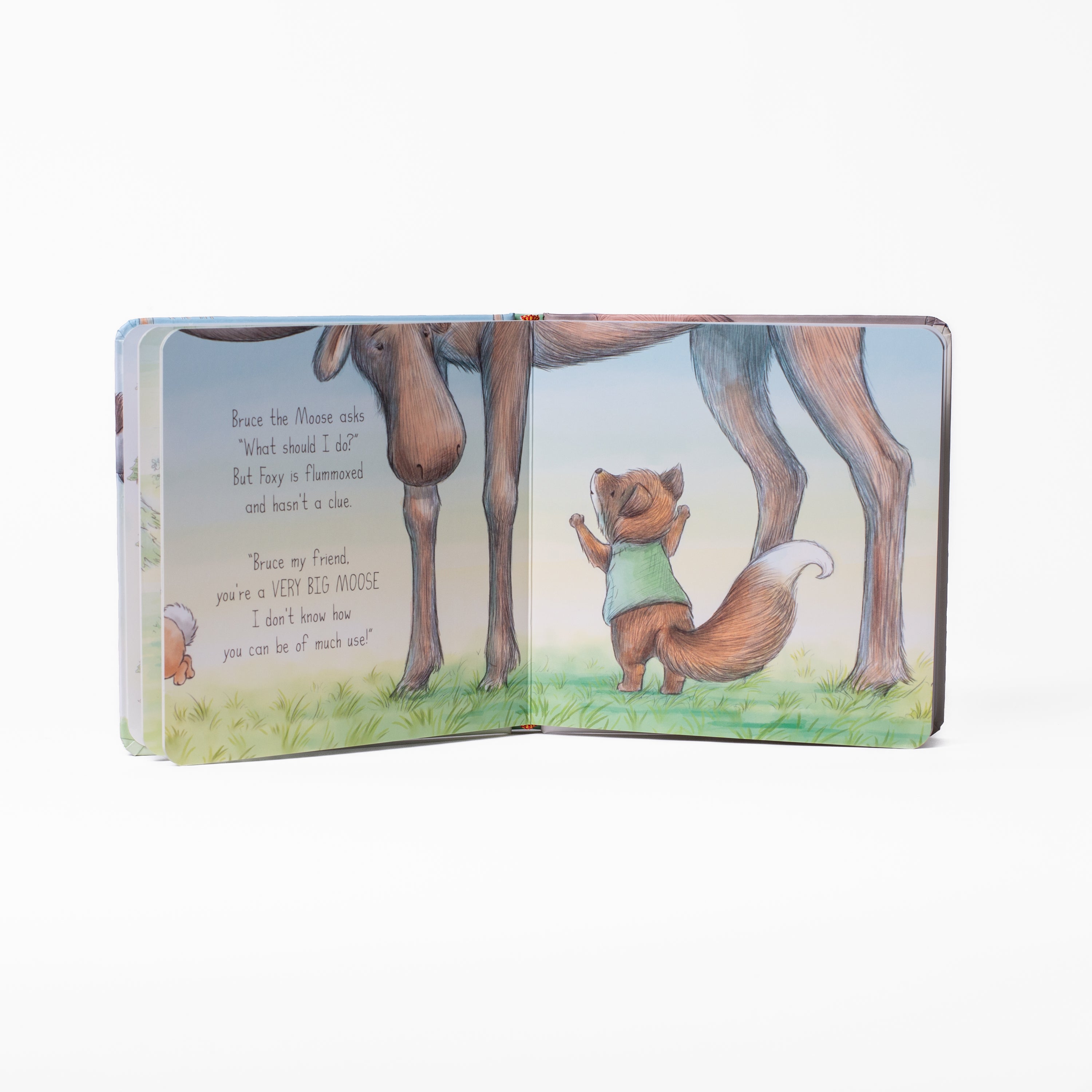 Camp Cricket Board Book