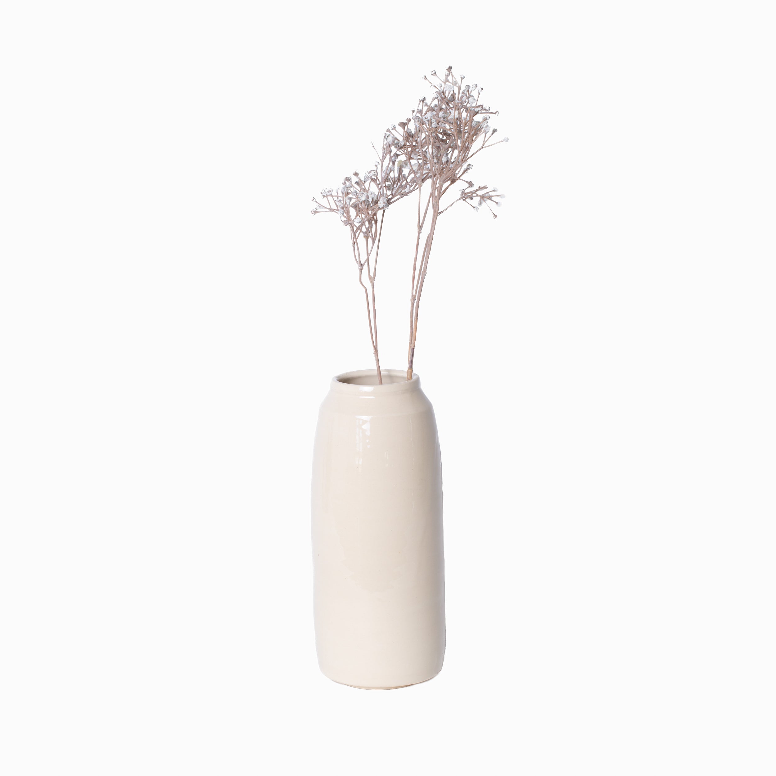 Gypsophila Stem