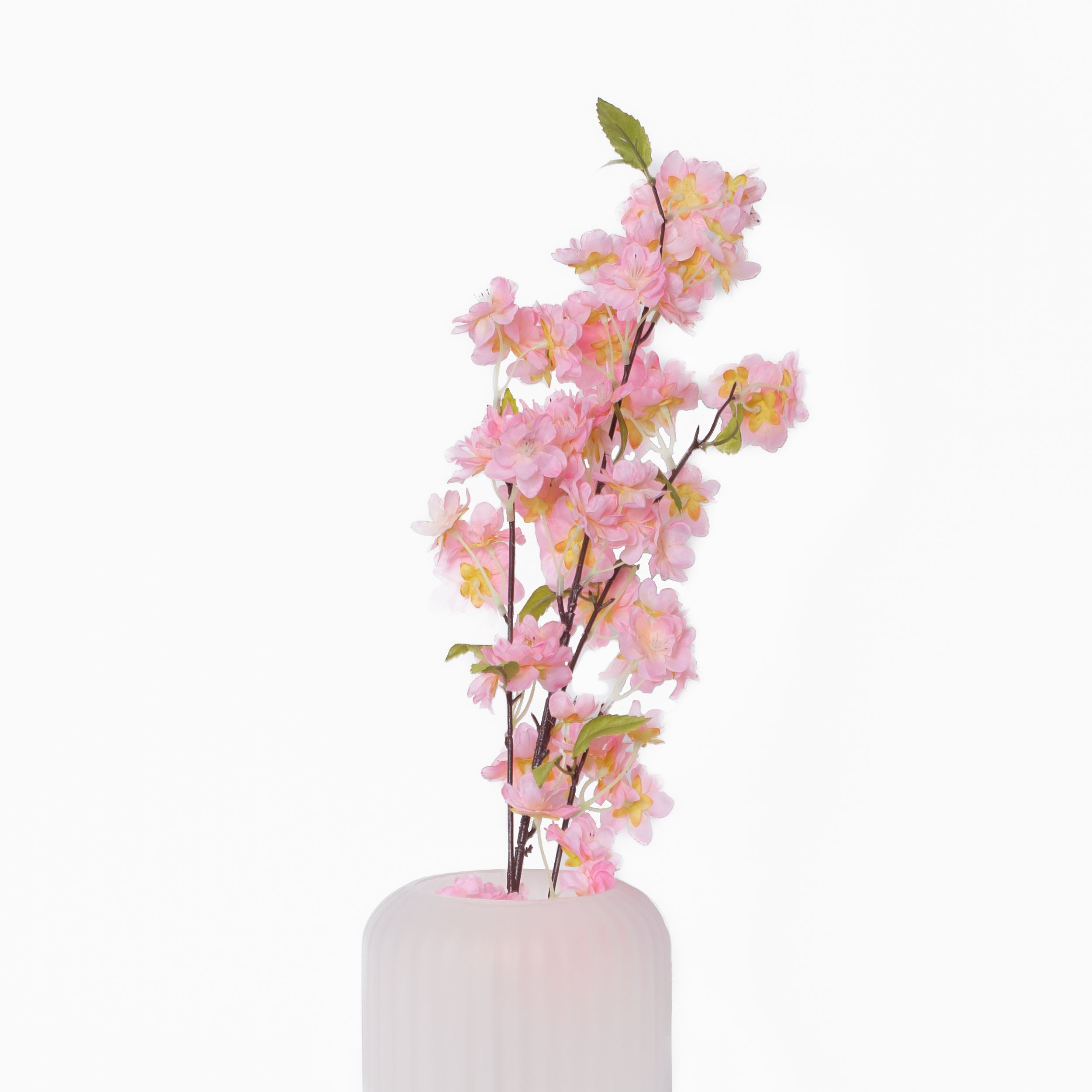 Pink Cherry Blossom Branch