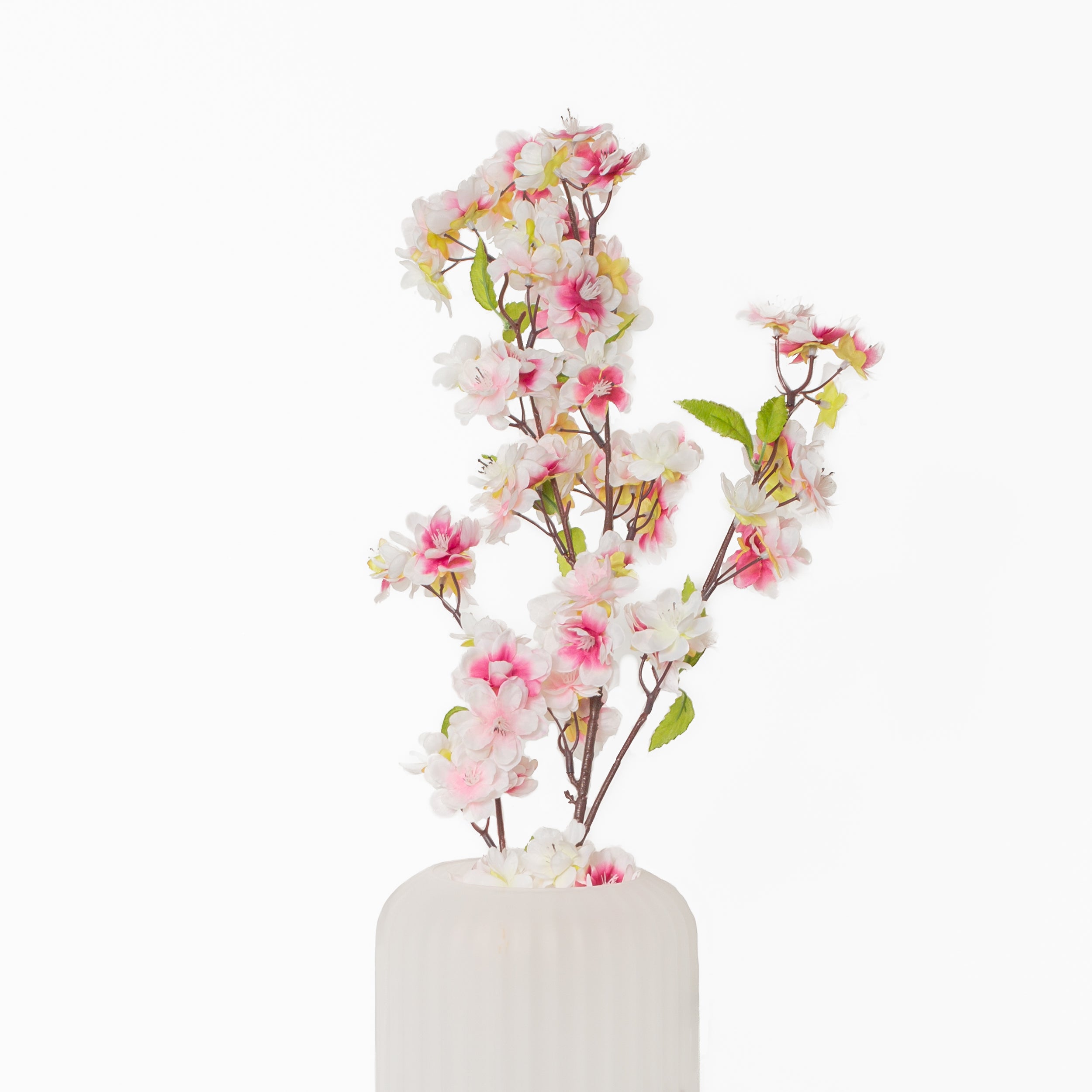 Cherry Blossom Branch