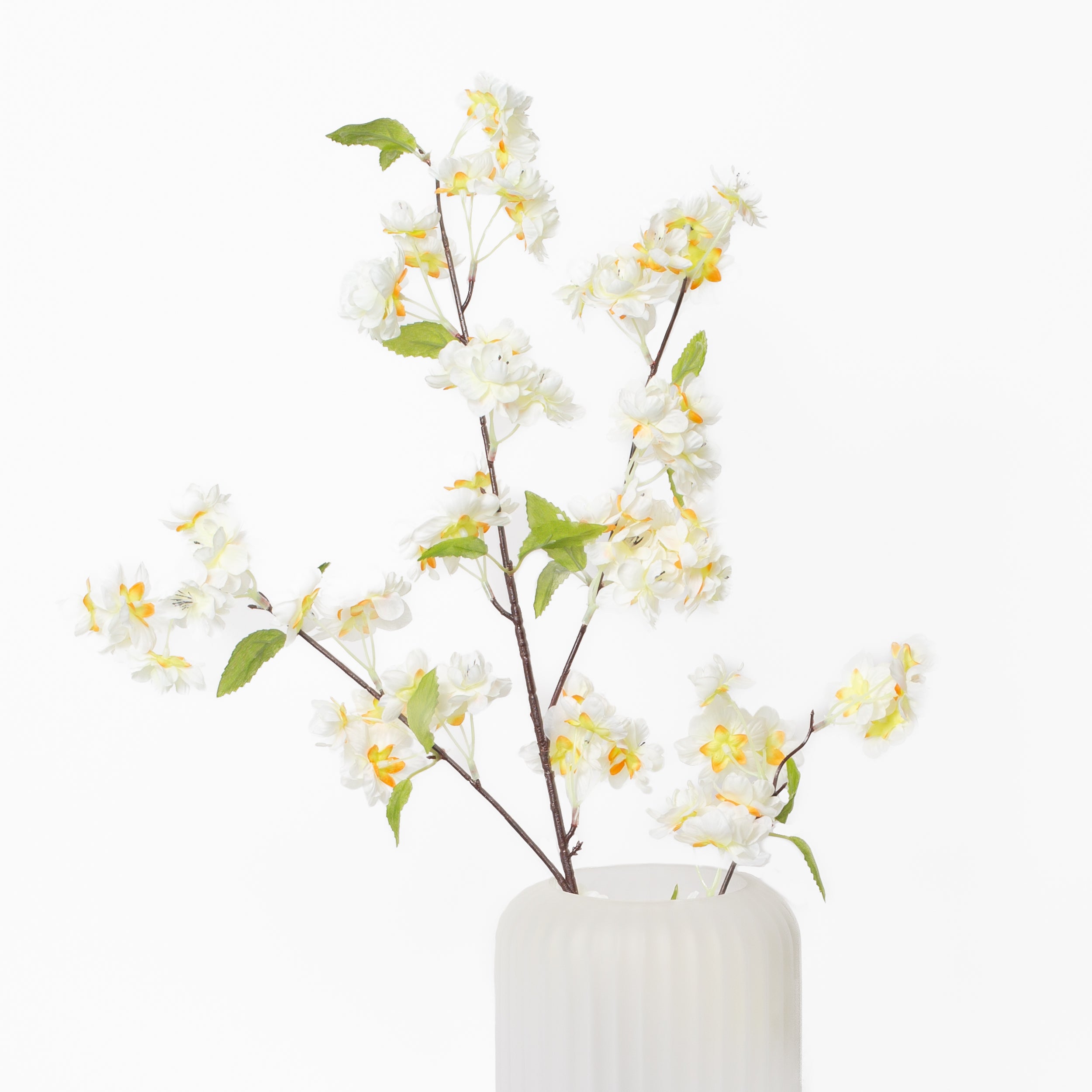 White Cherry Blossom Branch