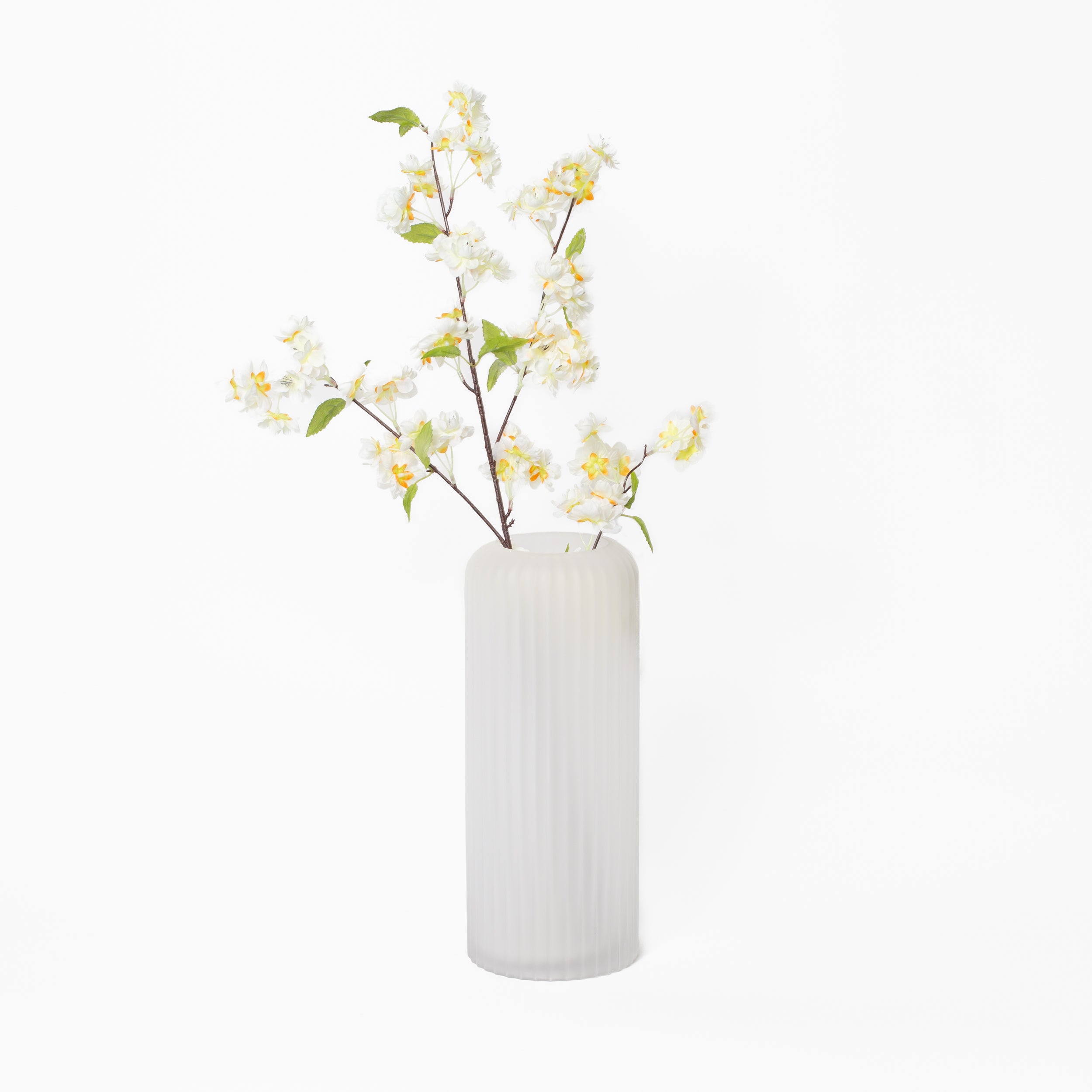 White Cherry Blossom Branch