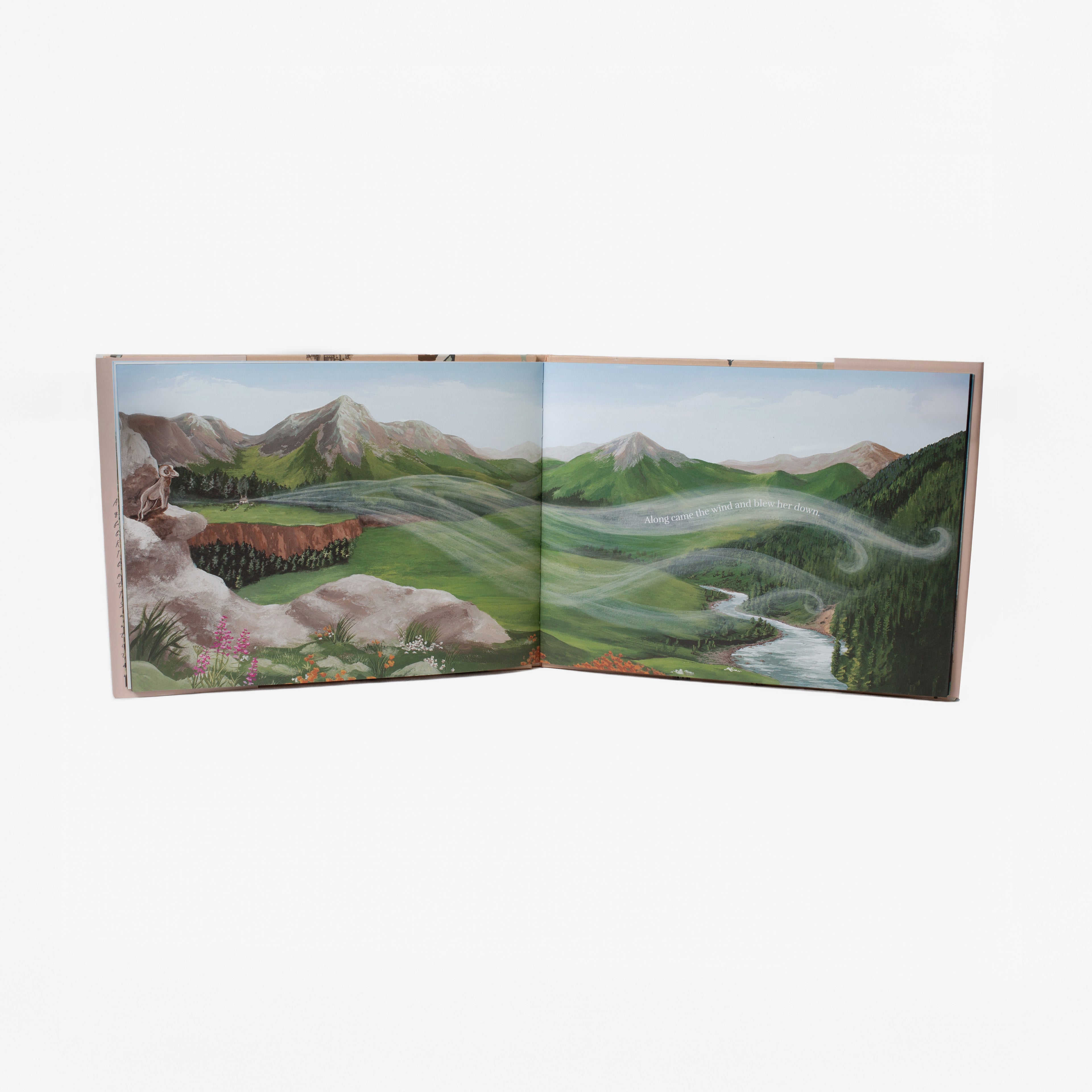 A Sand Story Book
