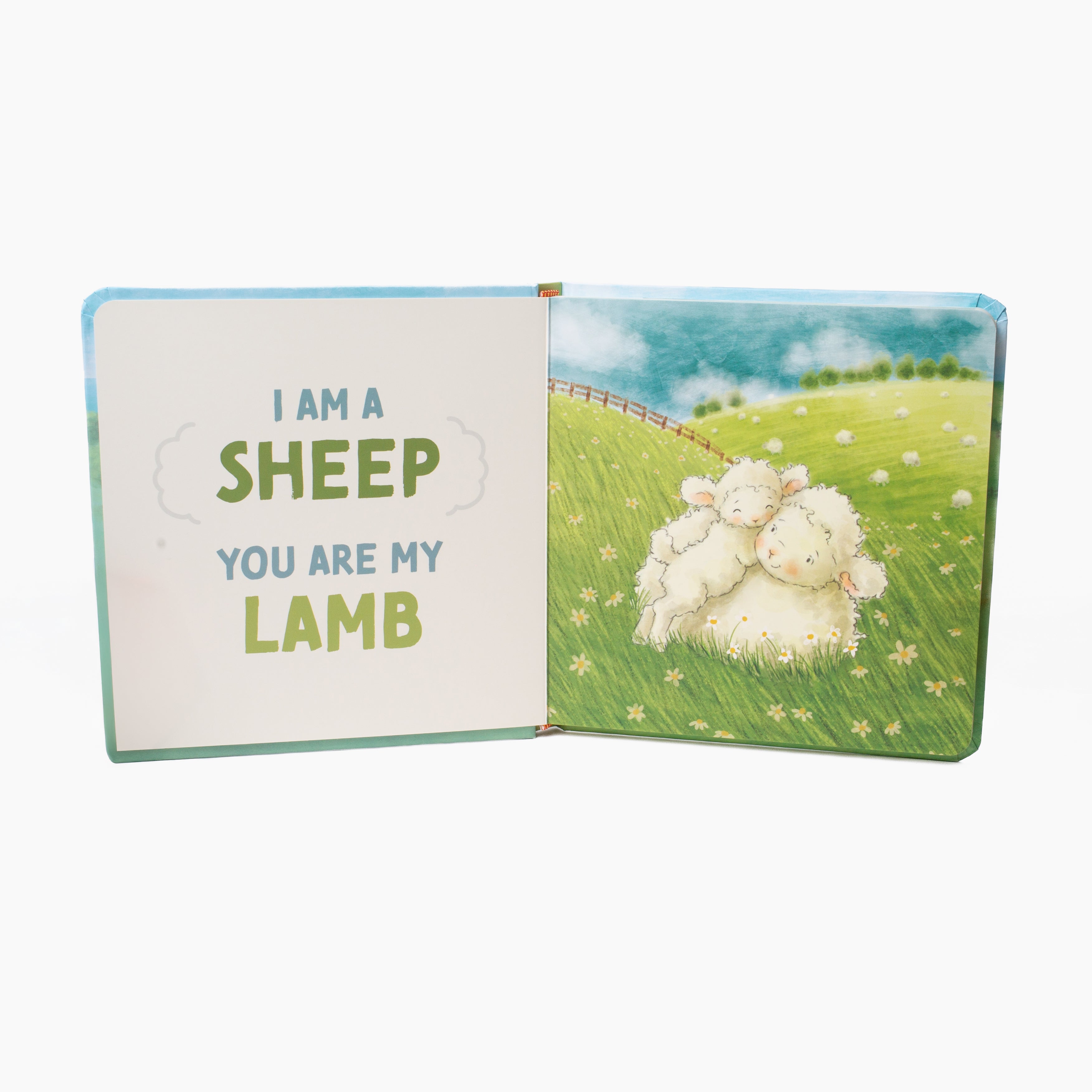 You Are My Baby Book