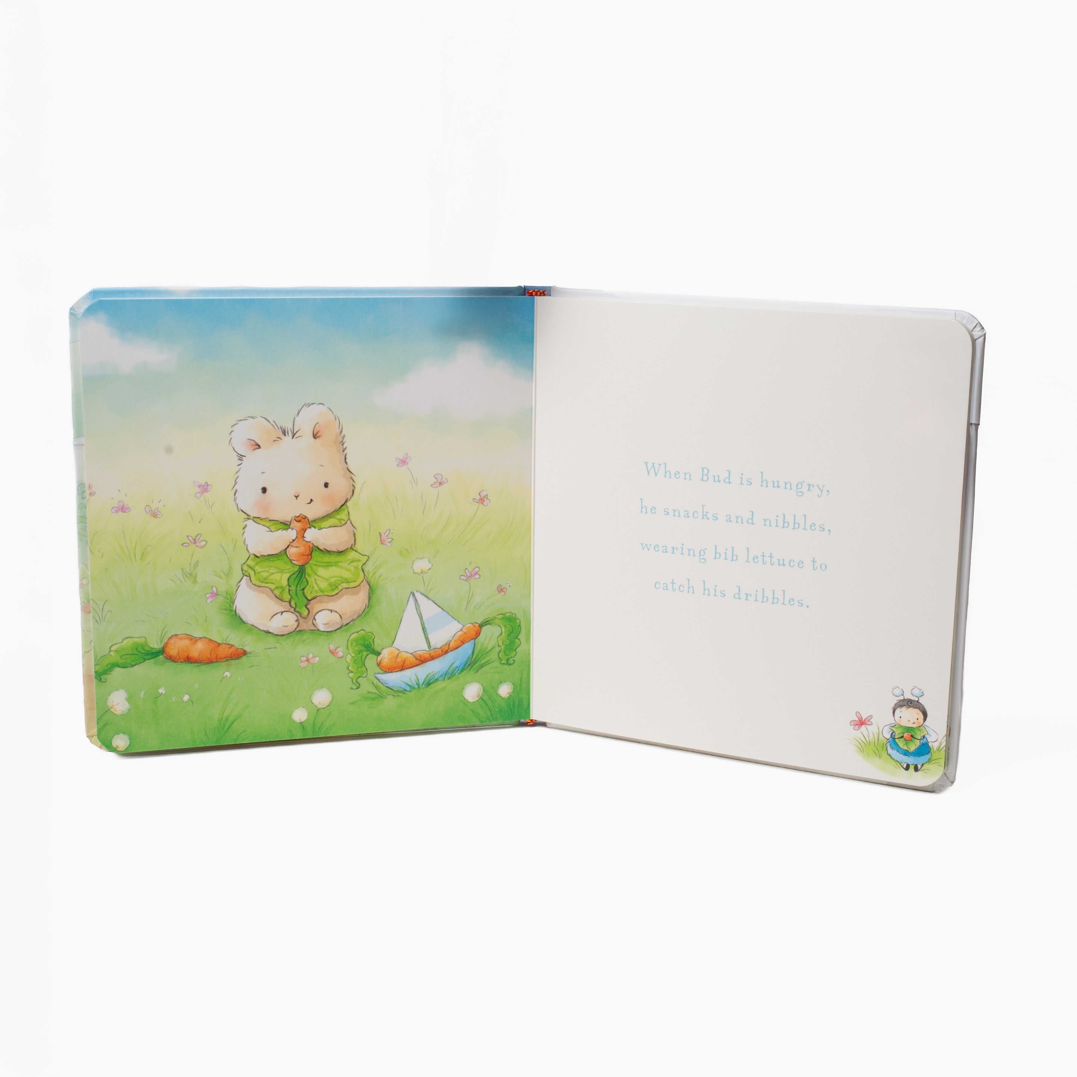 Bud & Skipit Best Friends Indeed Board Book