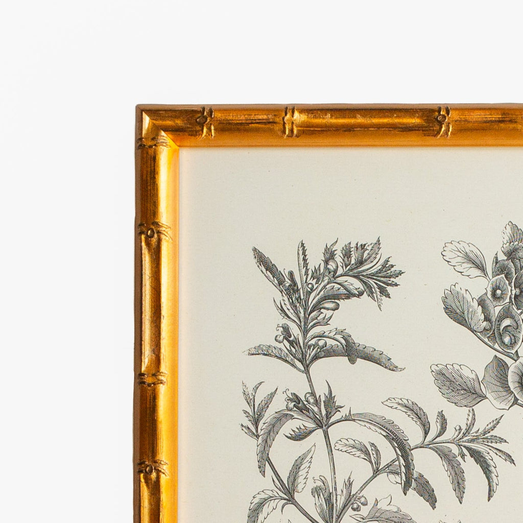 Bessler Study in Neutral