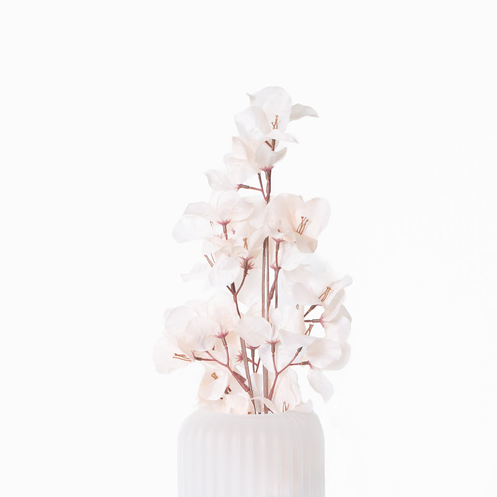 Blush Bougainvillea Stem
