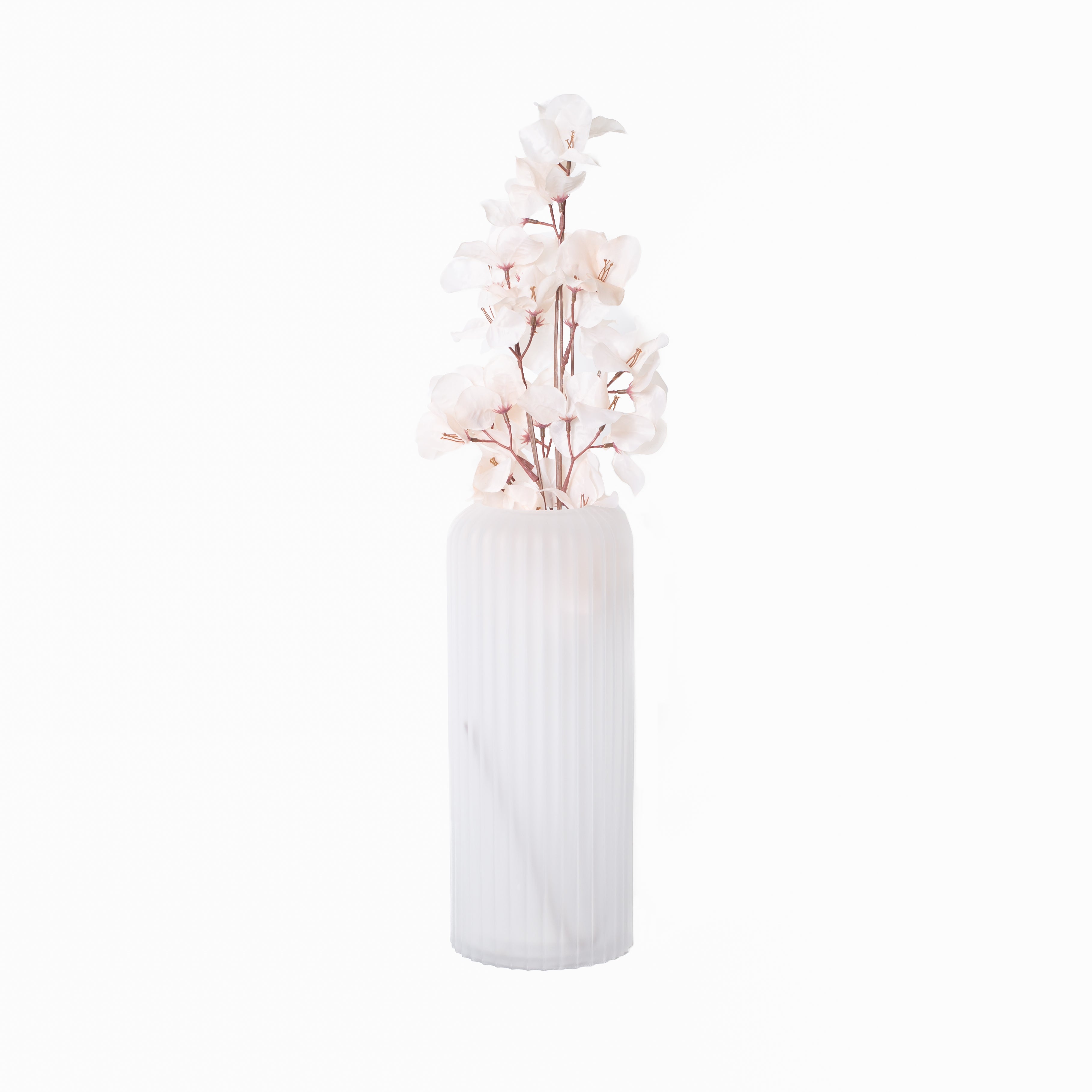 Blush Bougainvillea Stem