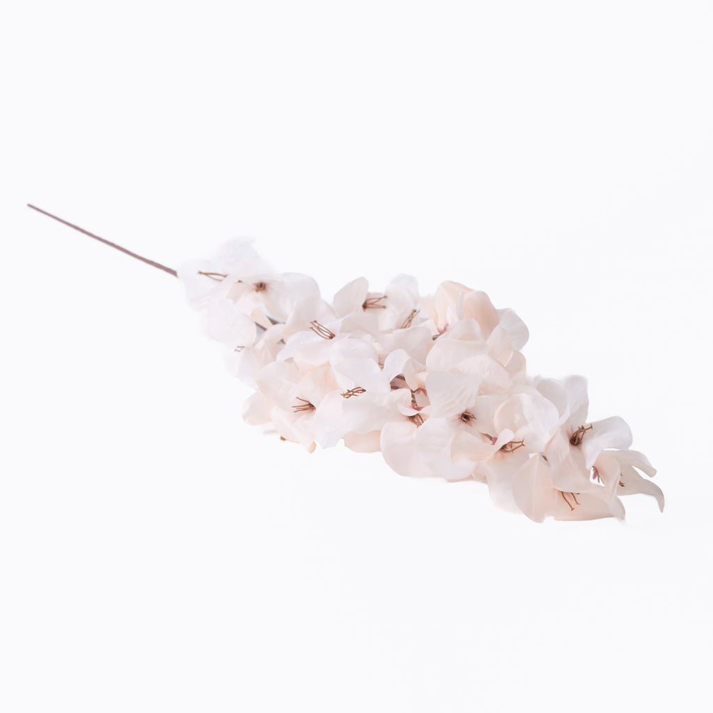 Blush Bougainvillea Stem