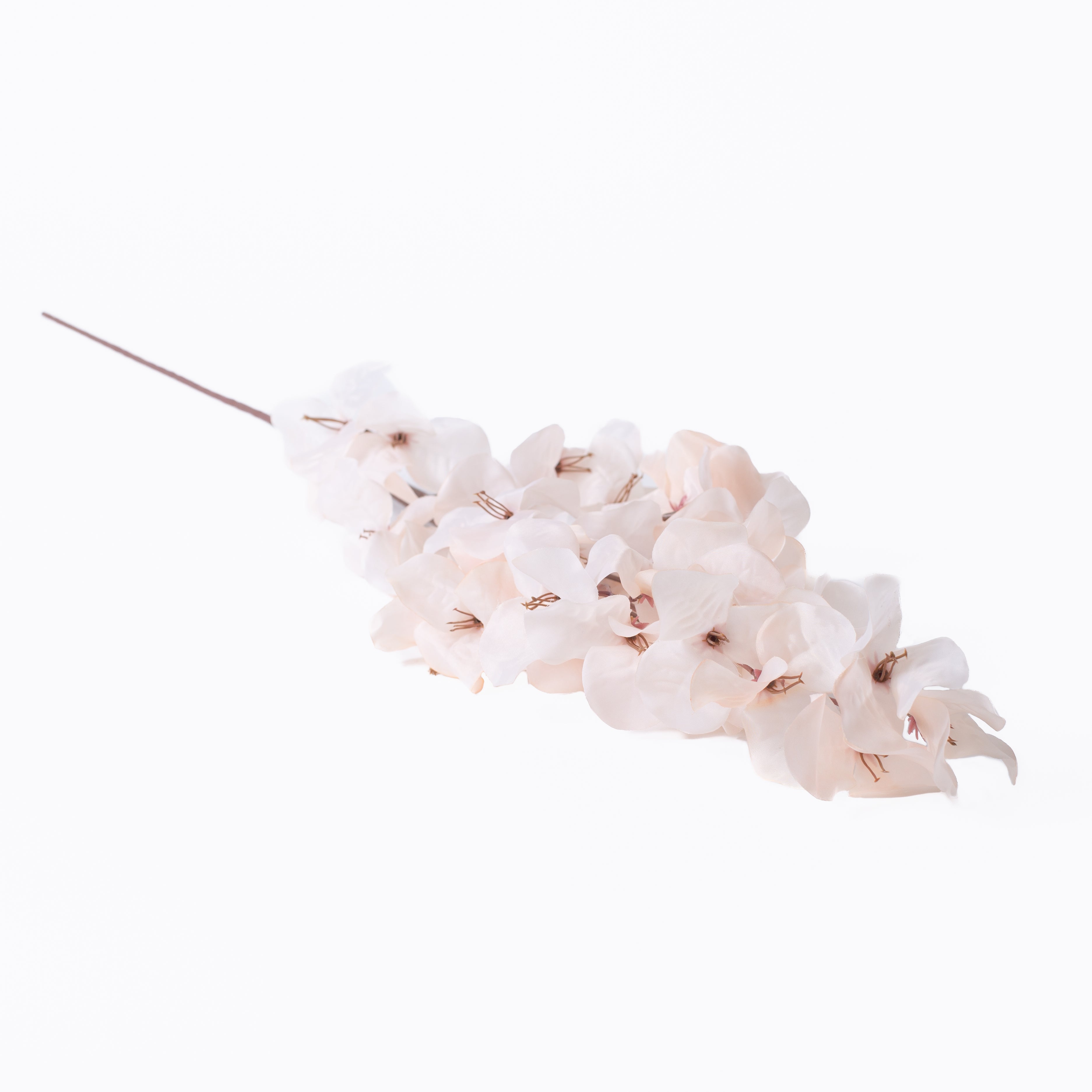 Blush Bougainvillea Stem
