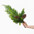 Spruce & Juniper Pinecone Bundle