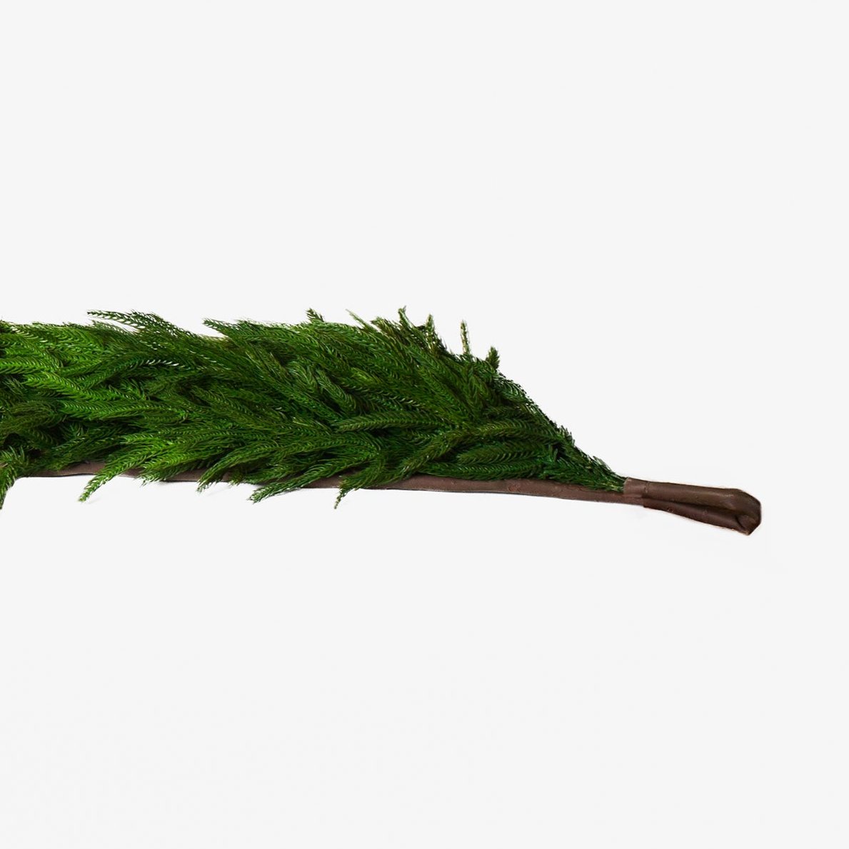 72" x 16" Norfolk Pine Garland