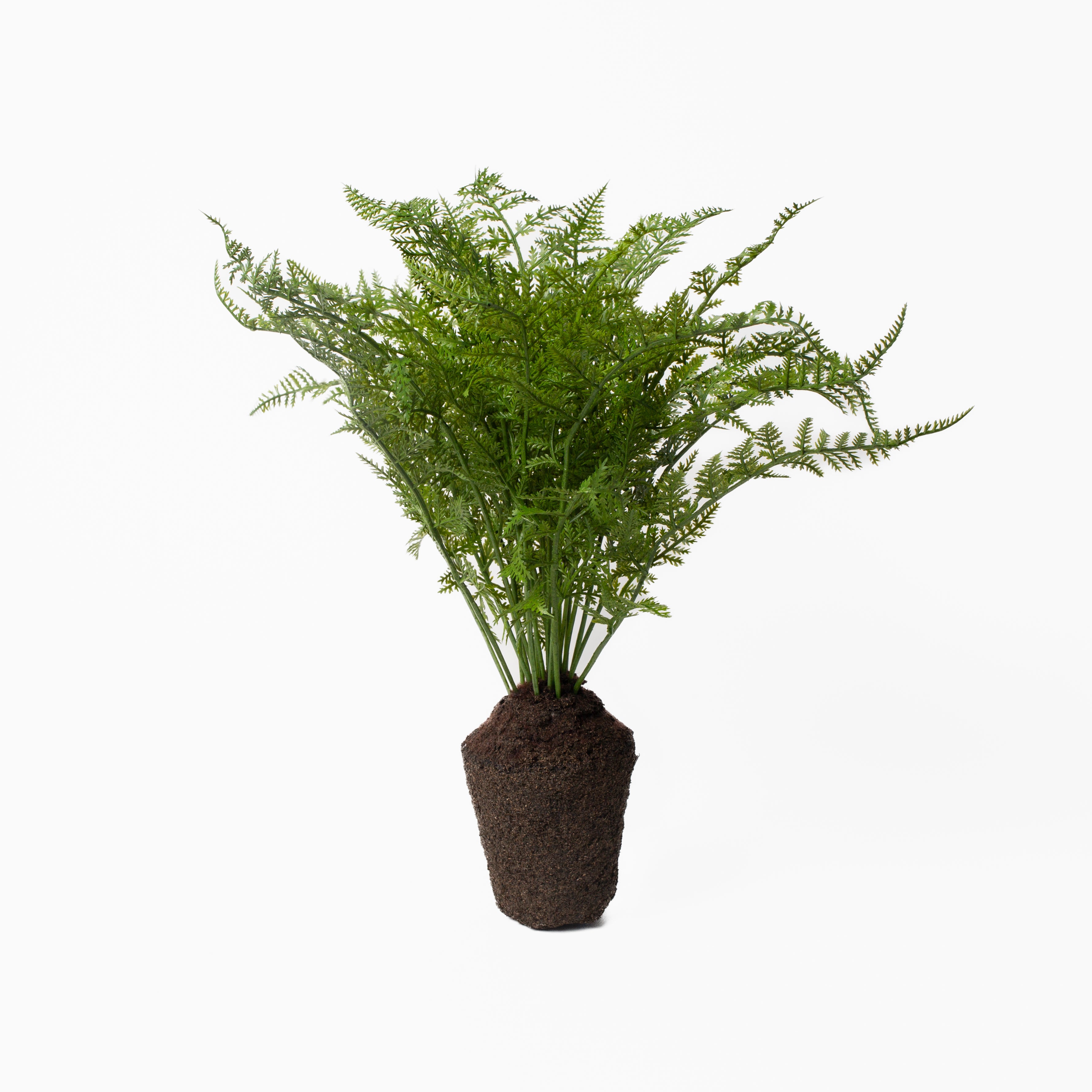 Soft Fern Drop-In