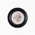 Daisy Round Framed Bird Art