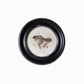 Daisy Round Framed Bird Art