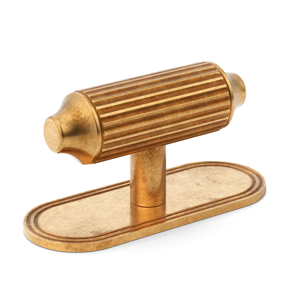 Barwick Ridged T-Bar Handle with Backplate