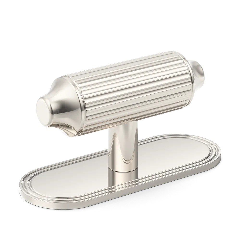 Barwick Ridged T-Bar Handle with Backplate