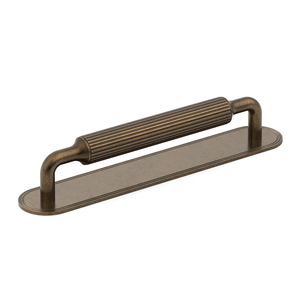 Barwick Ridged Cabinet Pull Handle with Backplate
