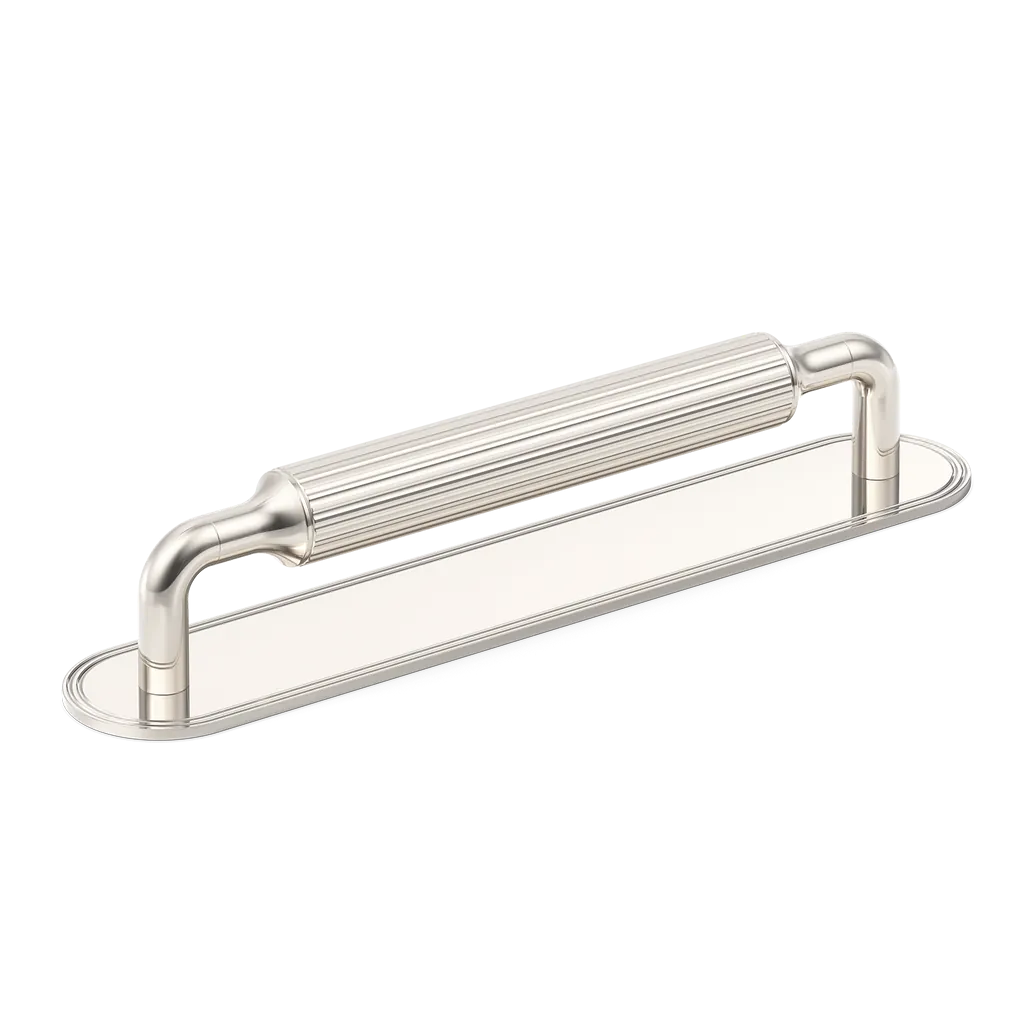 Barwick Ridged Cabinet Pull Handle with Backplate