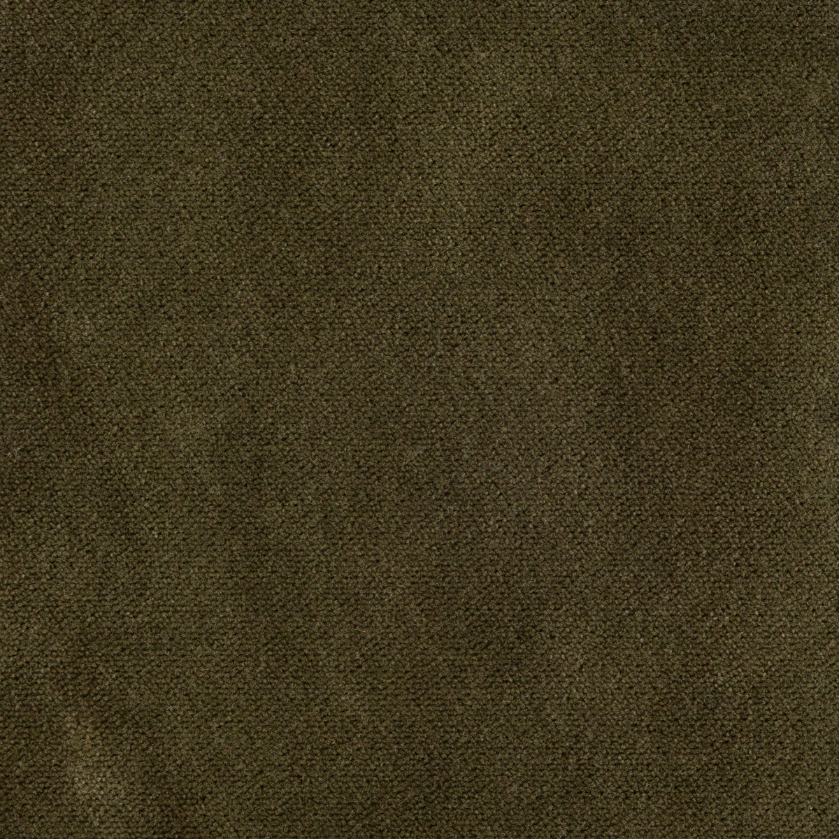 Brunswick Velvet Fabric Sample