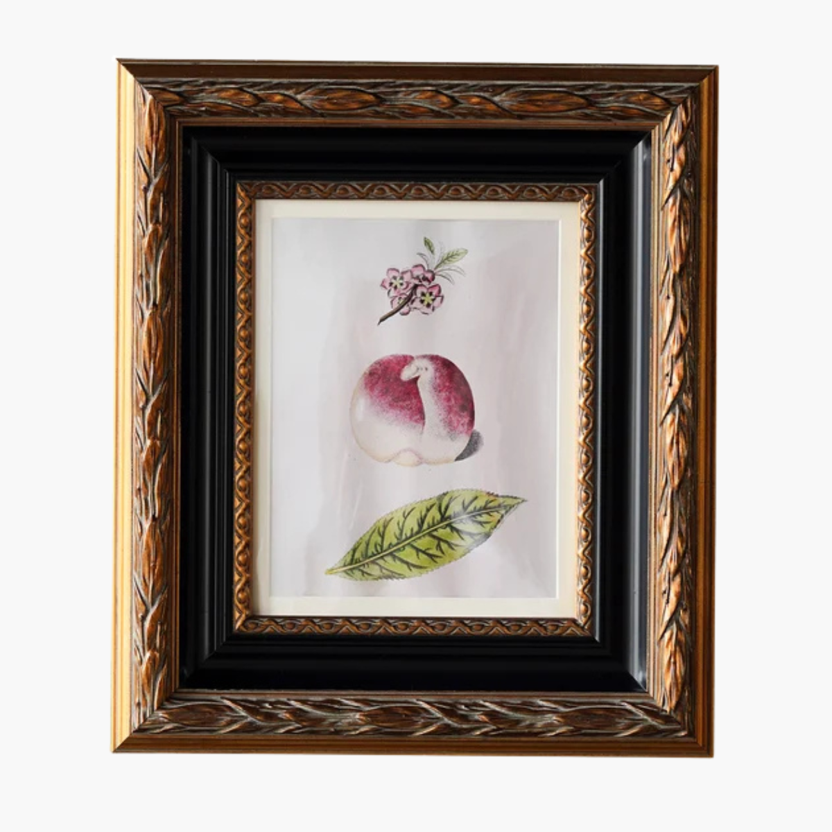 Iris Matted Frame