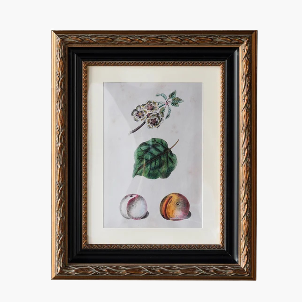 Zara Matted Frame