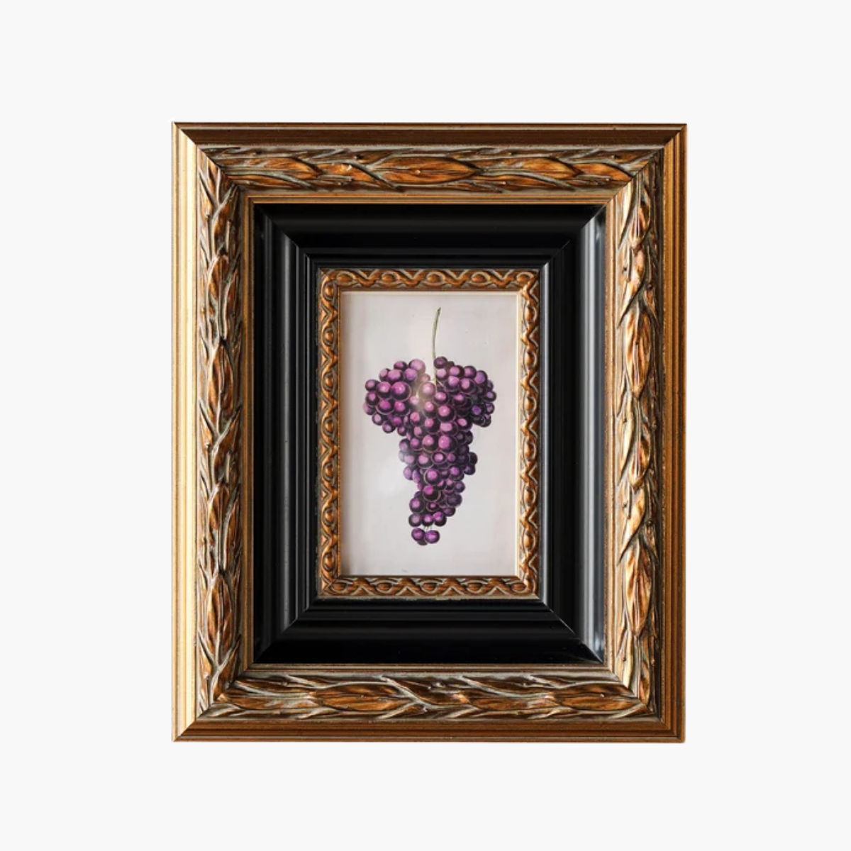 Vitis Matted Frame