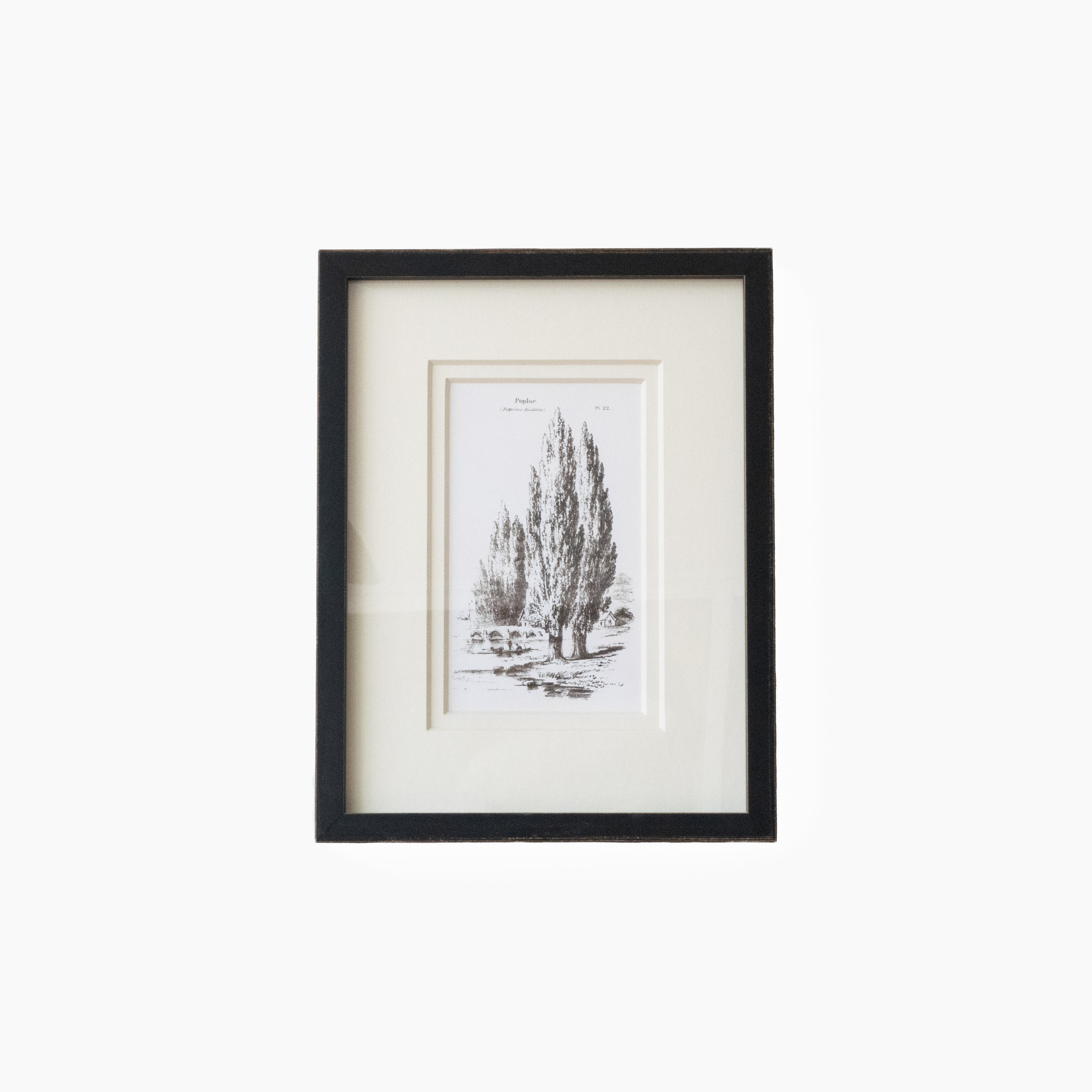 Vintage Tree 1