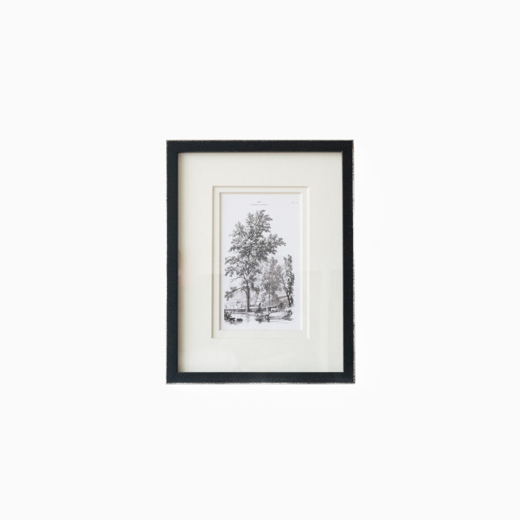 Vintage Tree 2