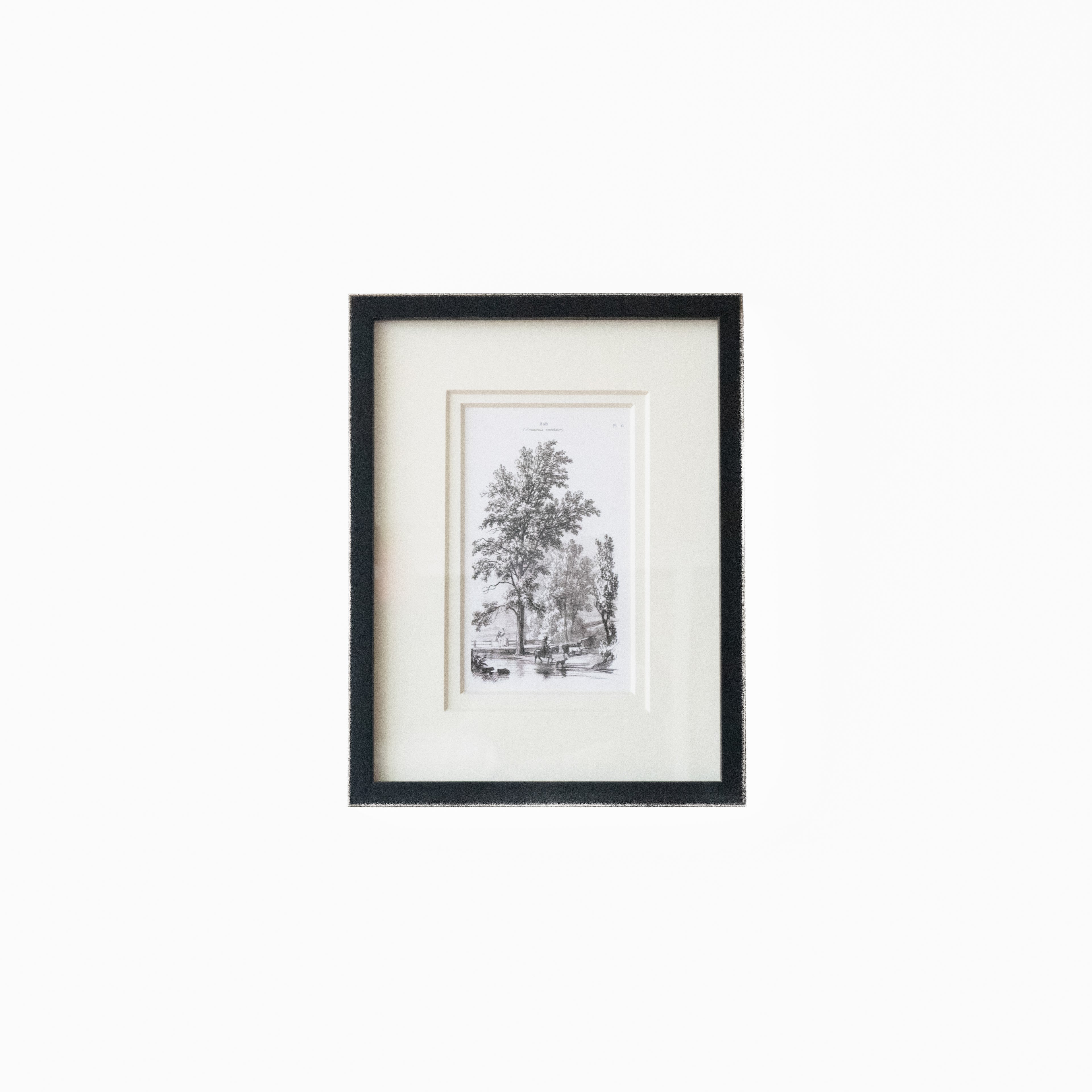 Vintage Tree 2