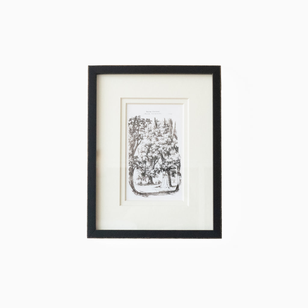 Vintage Tree 7