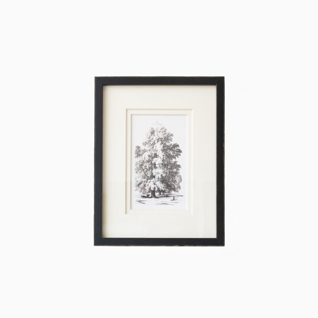 Vintage Tree 3
