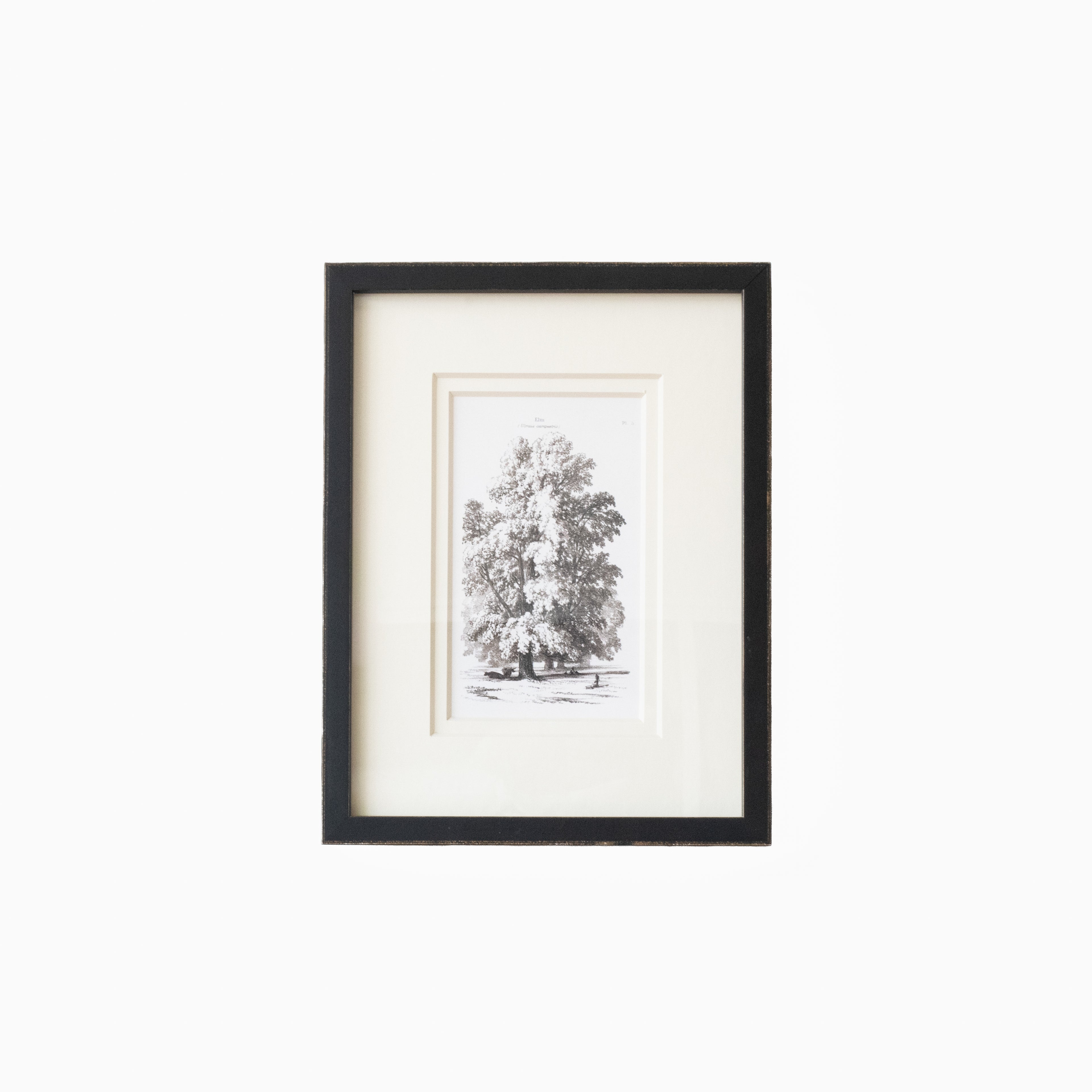 Vintage Tree 3
