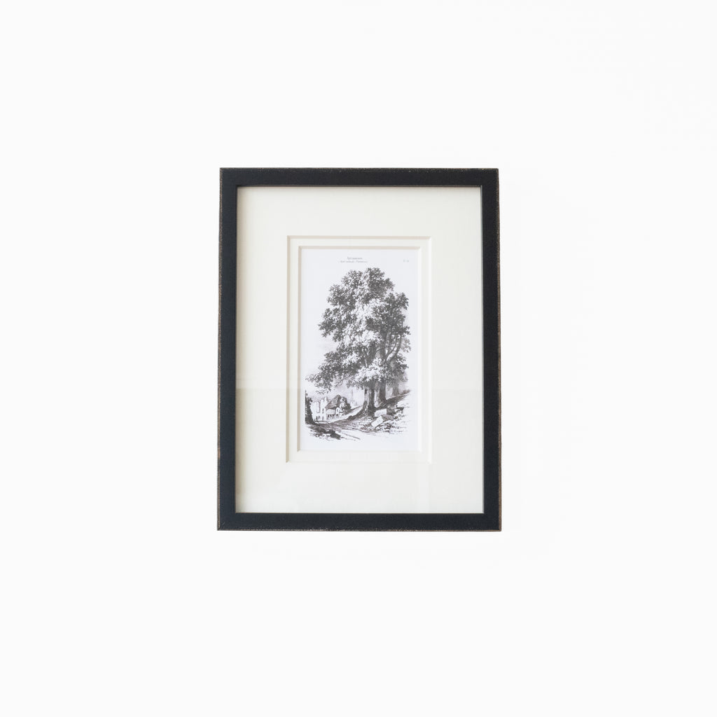 Vintage Tree 6