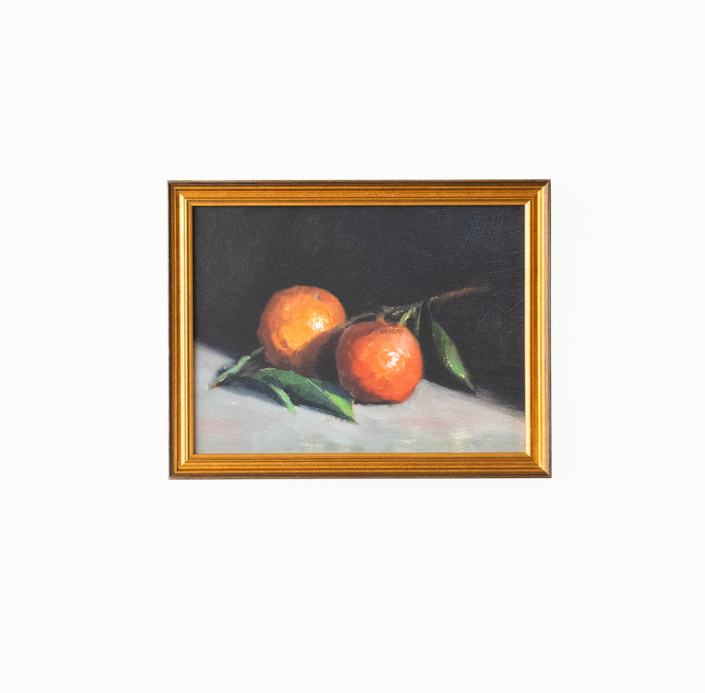 Citrus Still Life - Oranges