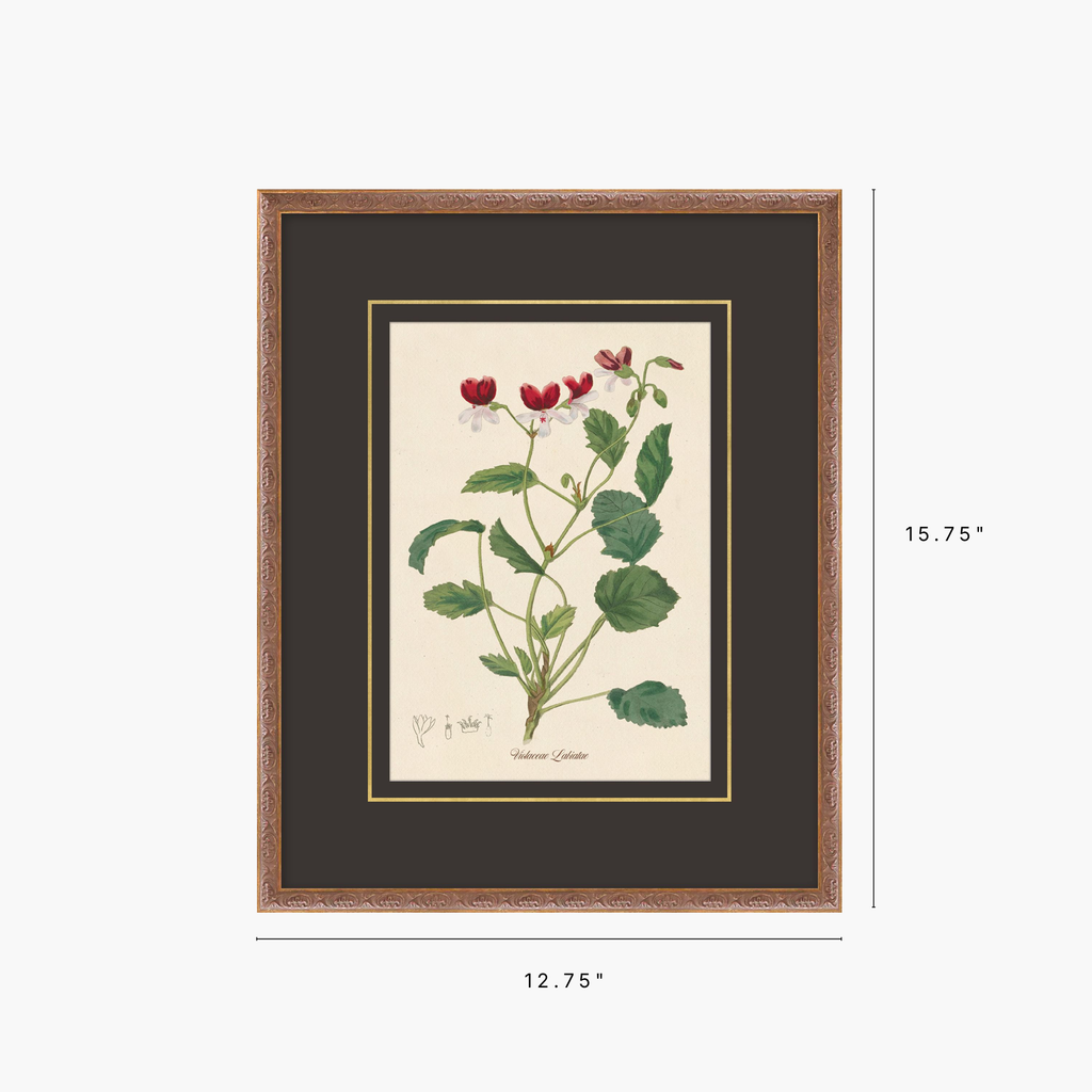 Figures of Flora 10