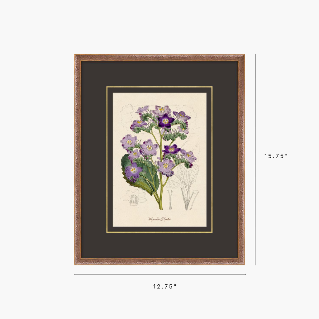 Framed botanical art print featuring purple flowers with green leaves, set in a dark charcoal mat and a rustic brown wood frame, shown with dimension lines indicating 12.75 inches wide by 15.