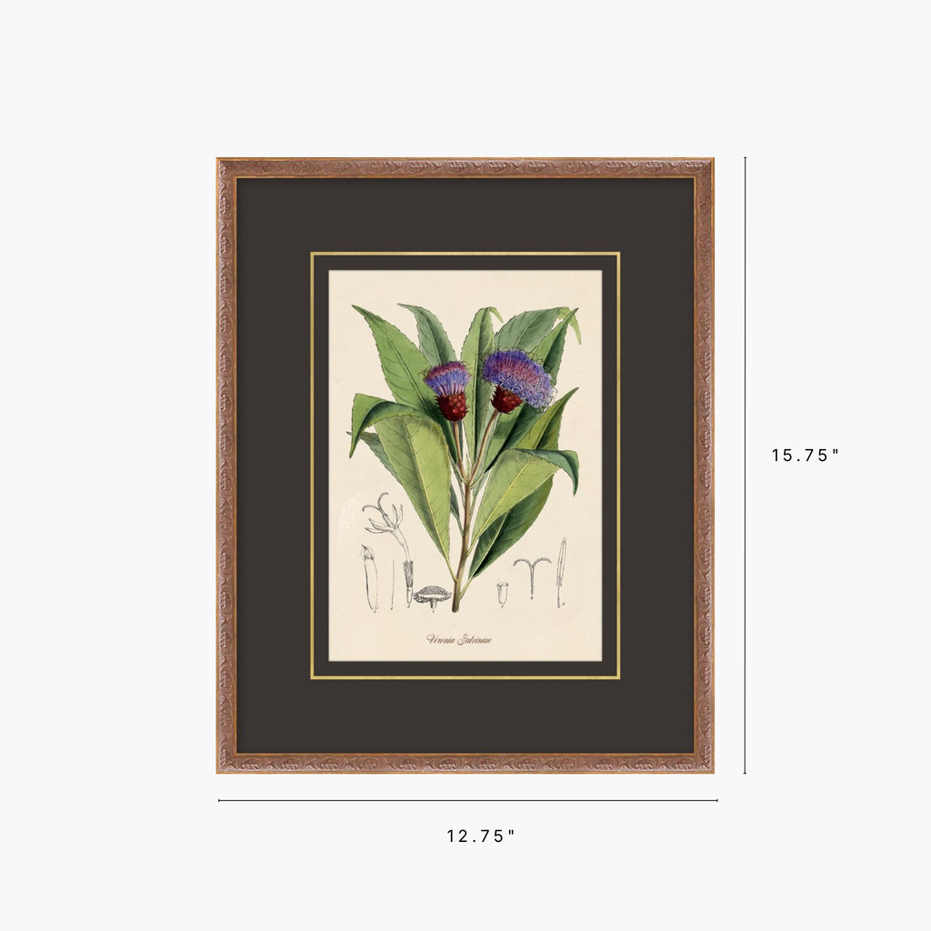 Figures of Flora 2