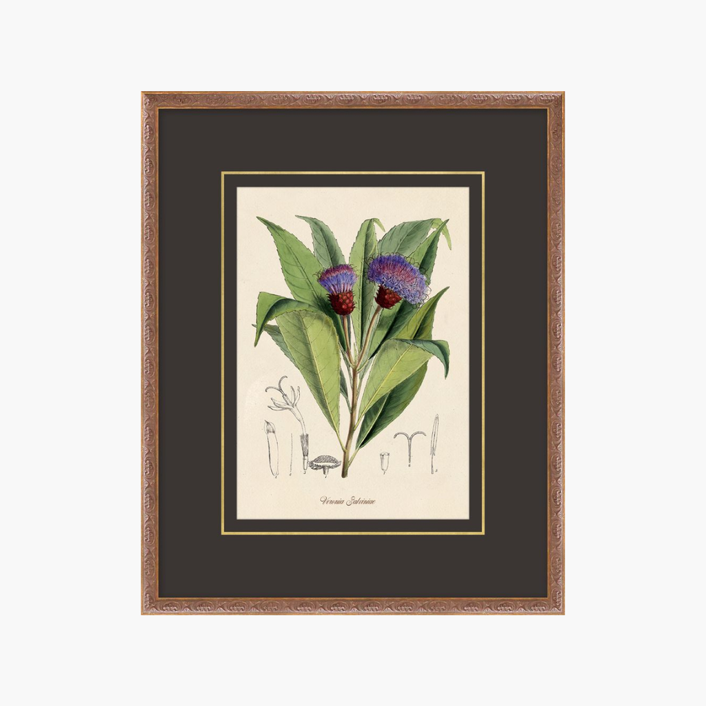 Figures of Flora 2