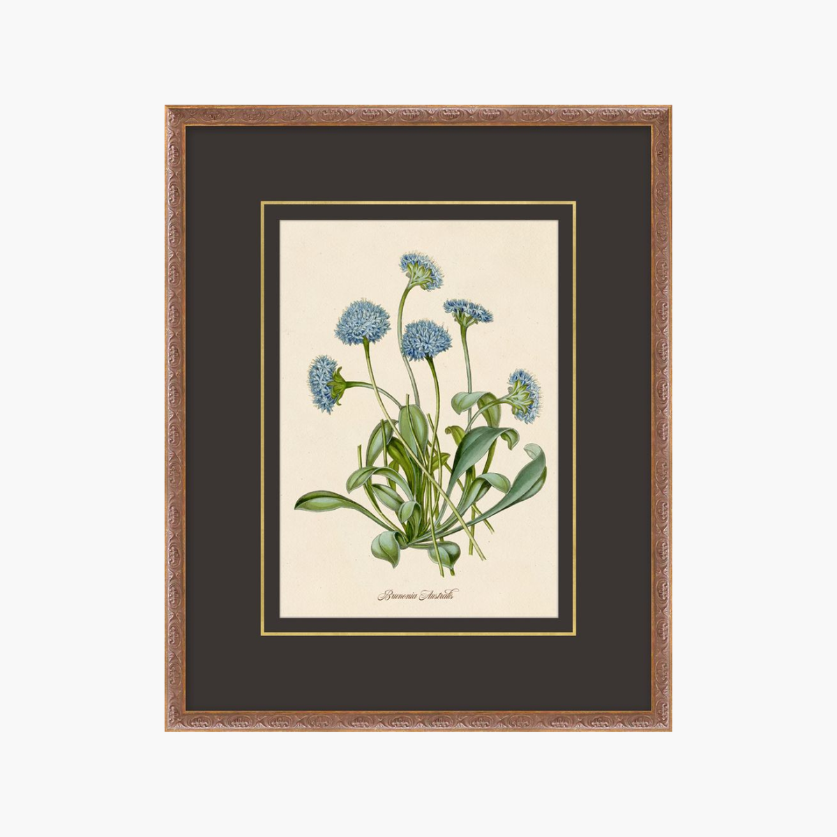 Figures of Flora 3